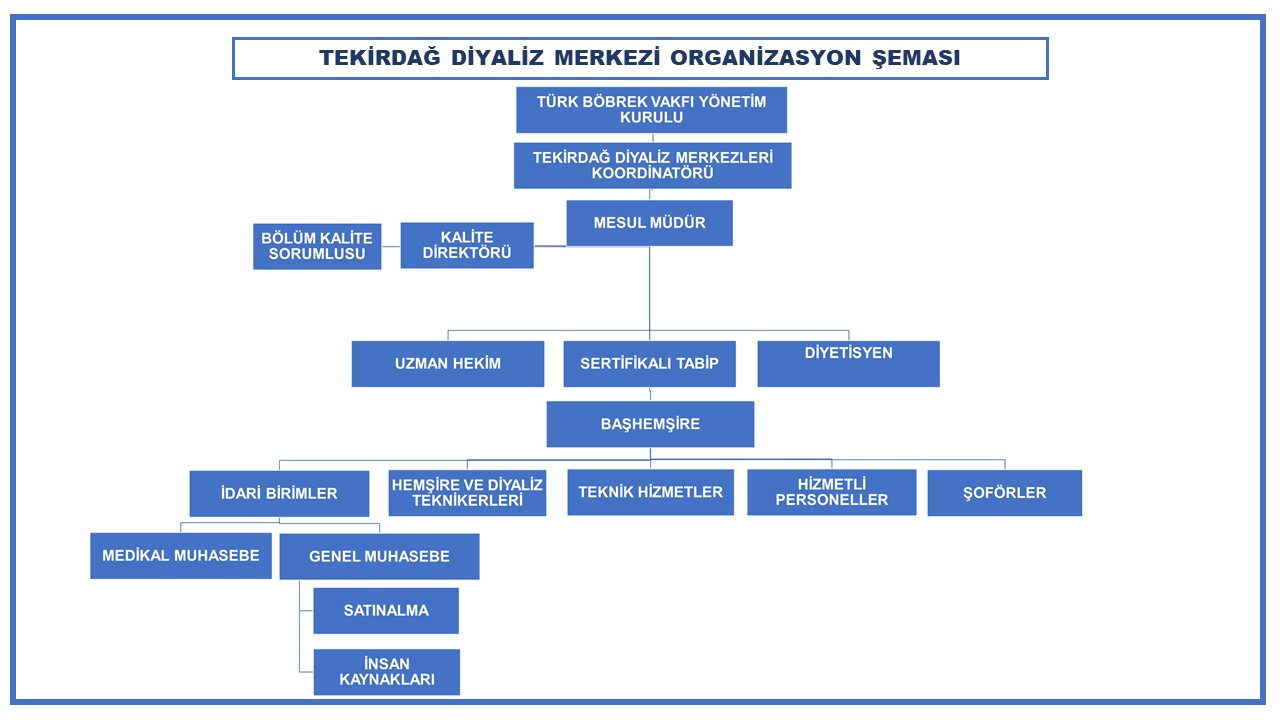 Kalie yönetim birimi organizasyon şeması